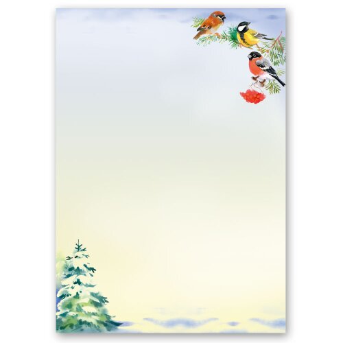 Motif Letter Paper! WINTER TIME 50 sheets DIN A4 Animals, Seasons - Winter, Winter motif, Winter, Paper-Media