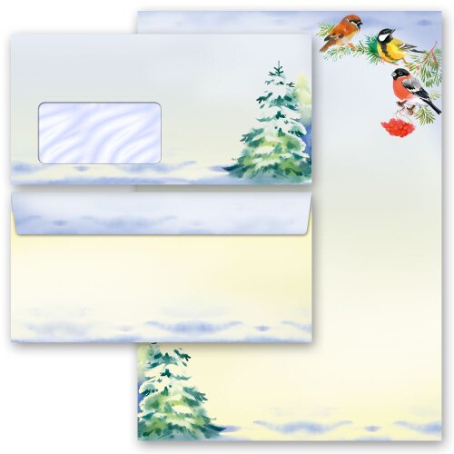 Briefpapier-Sets WINTERZEIT (Variante A) 200-tlg. Set - DL (mit Fenster)