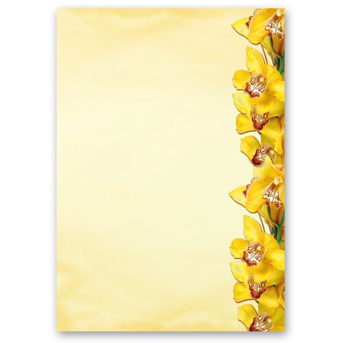 Briefpapier GELBE ORCHIDEEN - DIN A5 Format 50 Blatt Blumen & Blüten, Blumenmotiv, Paper-Media