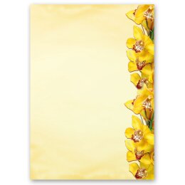 Stationery-Sets Flowers & Petals, YELLOW ORCHIDS 20-pc. Complete set - DIN A4 & DIN LONG Set. | Order online! | Paper-Media
