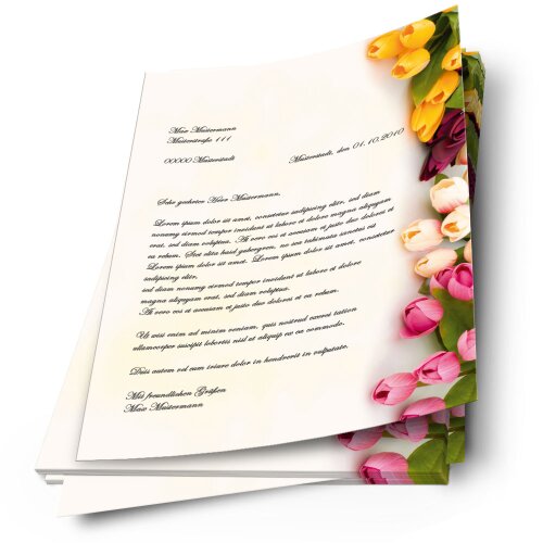 Motif Letter Paper! COLORFUL TULIPS