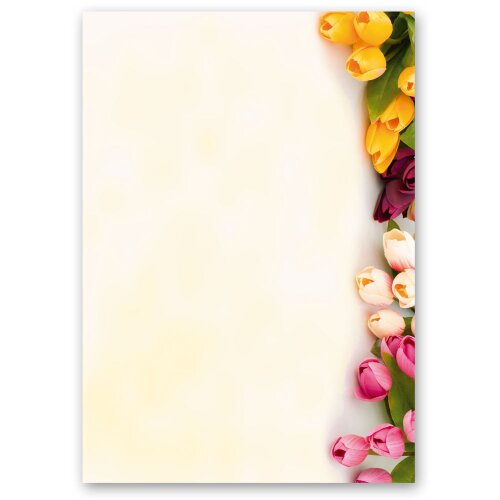 Briefpapier BUNTE TULPEN - DIN A5 Format 100 Blatt Blumen & Blüten, Blumenmotiv, Paper-Media
