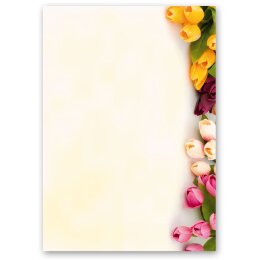 Papel de carta TULIPANES COLORIDOS - 100 Hojas formato DIN A5 Flores & Pétalos, Motivo de flores, Paper-Media