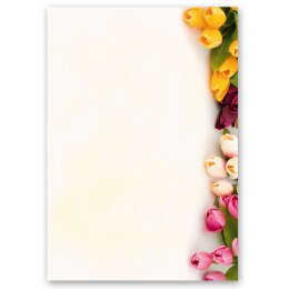 Briefpapier-Sets Blumen & Blüten, BUNTE TULPEN Briefpapier Set, 100 tlg. - DIN A4 & DIN LANG im Set. | Online bestellen! | Paper-Media
