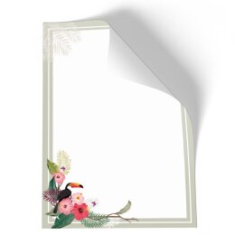 Briefpapier - Motiv SOMMERZWEIGE | Jahreszeiten - Sommer | Hochwertiges DIN A4 Briefpapier - 100 Blatt | 90 g/m² | einseitig bedruckt | Online bestellen!