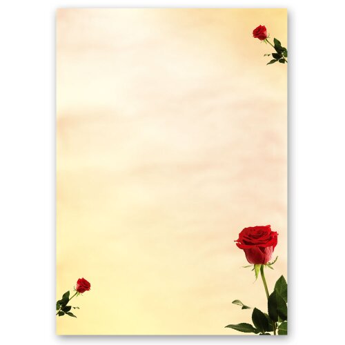 50 fogli di carta da lettera decorati BACCARA ROSA DIN A4 Fiori & Petali, Amore & Matrimonio, Motivo rosa, Paper-Media