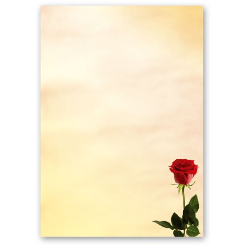 Papel de carta LAS ROSAS DEL BACARÁ - 100 Hojas formato DIN A5 Flores & Pétalos, Amor & Boda, Motivo de flores, Paper-Media