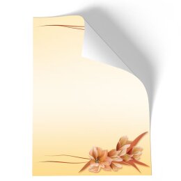 Motif Letter Paper! FLOWER PETALS 50 sheets DIN A4