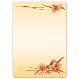 200-pc. Complete Motif Letter Paper-Set FLOWER PETALS