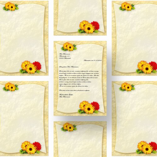 Carta da lettera decorati GERBERA