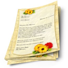 Briefpapier GERBERA - DIN A4 Format 100 Blatt