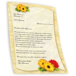 Papel de carta Flores & Pétalos GERBERA - 50 Hojas formato DIN A5 - Paper-Media