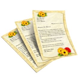 Papel de carta Flores & Pétalos GERBERA - 50 Hojas formato DIN A5 - Paper-Media