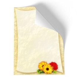 Briefpapier GERBERA - DIN A5 Format 100 Blatt