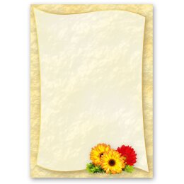 Motif Letter Paper! GERBERA 100 sheets DIN A5