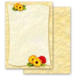 40-pc. Complete Motif Letter Paper-Set GERBERA
