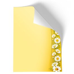 20 fogli di carta da lettera decorati Fiori & Petali CAMOMILLE DIN A4 - Paper-Media