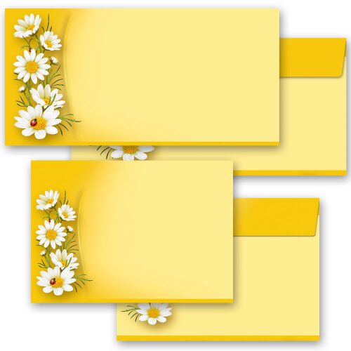 10 enveloppes à motifs au format DIN LONG - CAMOMILLE (sans fenêtre)