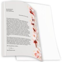 100 fogli di carta da lettera decorati FIORE DI CILIEGIO DIN A4