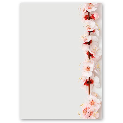 CHERRY BLOSSOMS Briefpapier Flowers motif CLASSIC 50 sheets, DIN A5 (148x210 mm), A5C-122-50