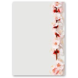 Motif Letter Paper! CHERRY BLOSSOMS 100 sheets DIN A5 Flowers & Petals, Flowers motif, Paper-Media