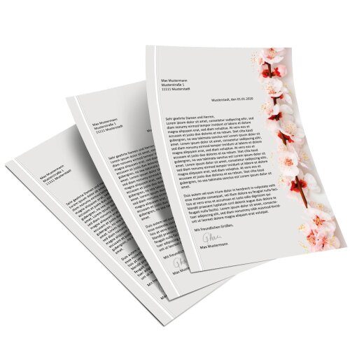 Briefpapier KIRSCHBLÜTEN - DIN A6 Format 100 Blatt