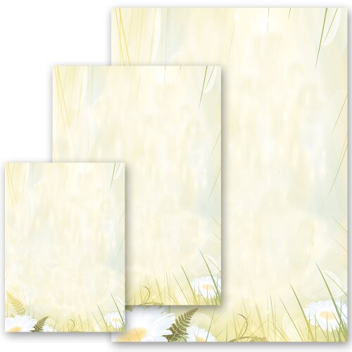 Motif Letter Paper! DAISIES