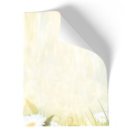 Briefpapier - Motiv MARGERITEN | Blumen & Blüten | Hochwertiges DIN A4 Briefpapier - 20 Blatt | 90 g/m² | einseitig bedruckt | Online bestellen!