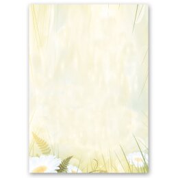 Motif Letter Paper! DAISIES 20 sheets DIN A4 Flowers...