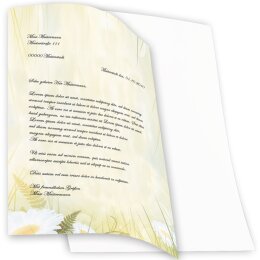 Motif Letter Paper! DAISIES 50 sheets DIN A4