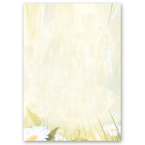 Papel de carta MARGARITAS - 100 Hojas formato DIN A4 Flores & Pétalos, Motivo de flores, Paper-Media