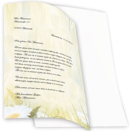 Motif Letter Paper! DAISIES 100 sheets DIN A4