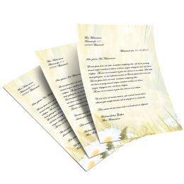 Papel de carta MARGARITAS - 50 Hojas formato DIN A5 - Flores & Pétalos