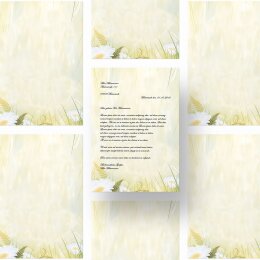Papel de carta MARGARITAS - 50 Hojas formato DIN A5 - Flores & Pétalos