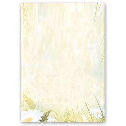 Motif Letter Paper! DAISIES 50 sheets DIN A5 Flowers...