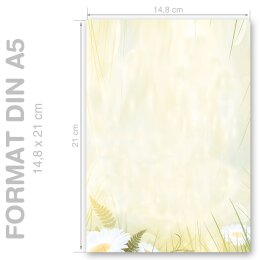 Motif Letter Paper! DAISIES 250 sheets DIN A5