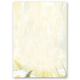 Motif Letter Paper! DAISIES 100 sheets DIN A6 Flowers...
