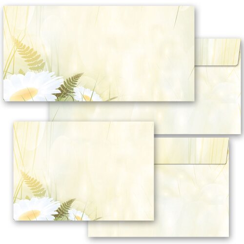 Enveloppes à motifs MARGUERITES Fleurs & Pétales, Motif de fleurs, Paper-Media