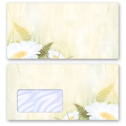 Flowers motif, Envelopes Flowers & Petals, DAISIES  - DIN LONG & DIN C6 | Motifs from different categories - Order online! | Paper-Media