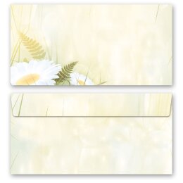 10 sobres estampados MARGARITAS - Formato: DIN LANG (sin ventana) Flores & Pétalos, Motivo de flores, Paper-Media