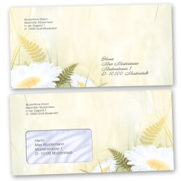 50 patterned envelopes DAISIES in standard DIN long format (windowless)
