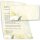 50 patterned envelopes DAISIES in standard DIN long format (windowless)