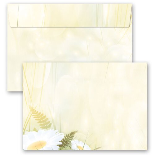 25 patterned envelopes DAISIES in C6 format (windowless)