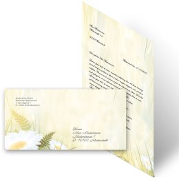 200-pc. Complete Motif Letter Paper-Set DAISIES