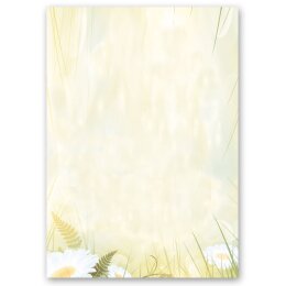 Briefpapier-Sets Blumen & Blüten, MARGERITEN Briefpapier Set, 200 tlg. - DIN A4 & DIN LANG im Set. | Online bestellen! | Paper-Media