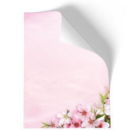 Briefpapier - Motiv PFIRSICHBLÜTEN | Blumen & Blüten, Jahreszeiten - Frühling | Hochwertiges DIN A4 Briefpapier - 20 Blatt | 90 g/m² | einseitig bedruckt | Online bestellen!