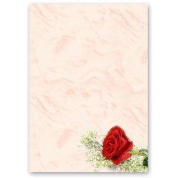 50 fogli di carta da lettera decorati ROSA ROSSA DIN A5 Fiori & Petali, Amore & Matrimonio, Motivo rosa, Paper-Media