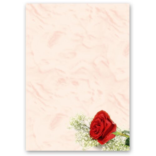 Motif Letter Paper! RED ROSE 100 sheets DIN A5 Flowers & Petals, Love & Wedding, Rose motif, Paper-Media