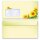50 enveloppes à motifs au format DIN LONG - TOURNESOLS (avec fenêtre) Fleurs & Pétales, Été, Paper-Media
