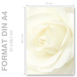 ROSA BLANCA Briefpapier Motivo de flores, Motivo rosa CLASSIC 50 hojas de papelería, DIN A4 (210x297 mm), A4C-8007-50